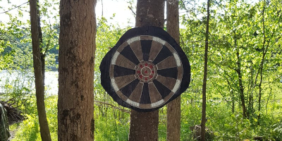 Dart Board